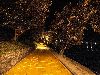 Floating Piers - Lago d'Iseo 16