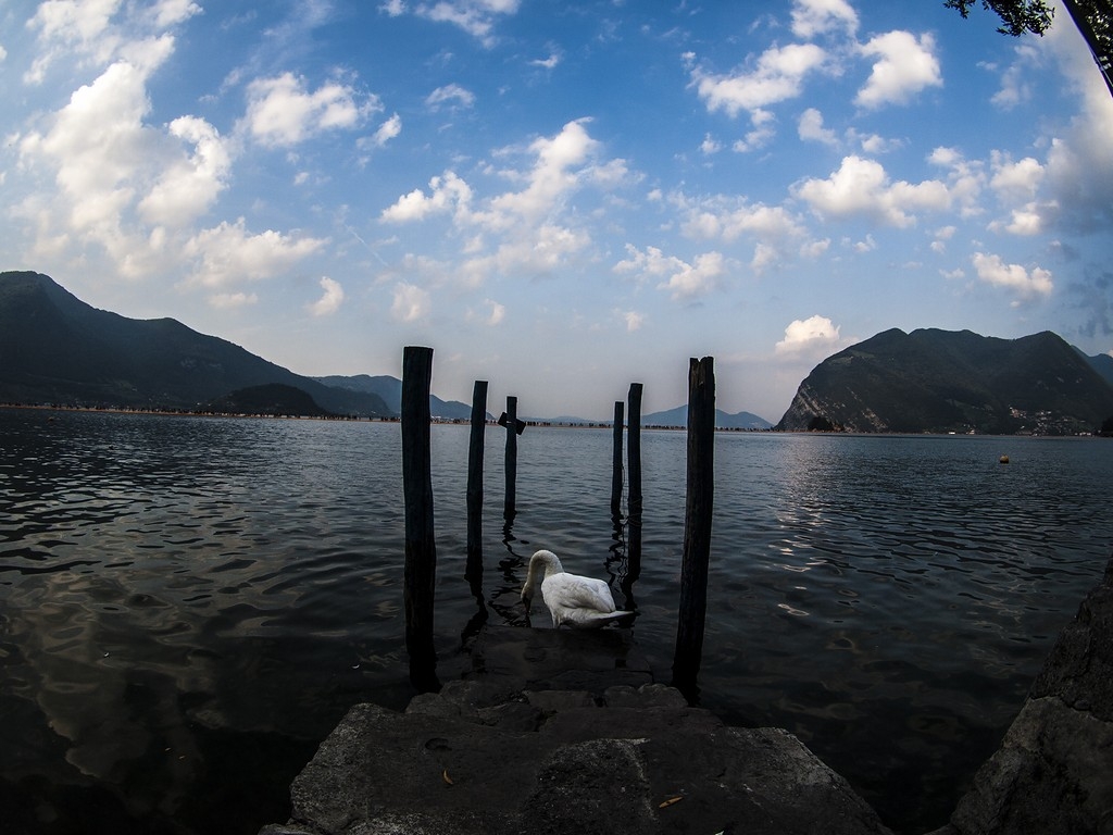 Floating Piers - Lago d'Iseo 27