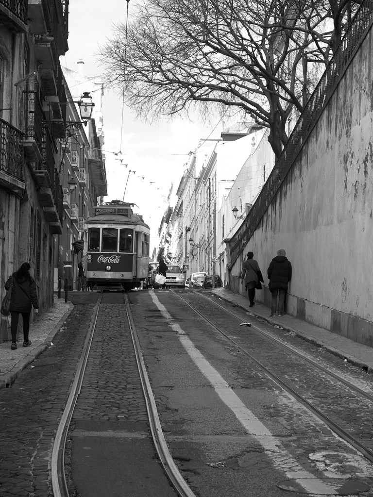 Streets of Lisbon 15
