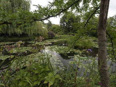 Monet's Garden 1
